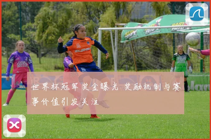 世界杯冠军奖金曝光 奖励机制与赛事价值引发关注