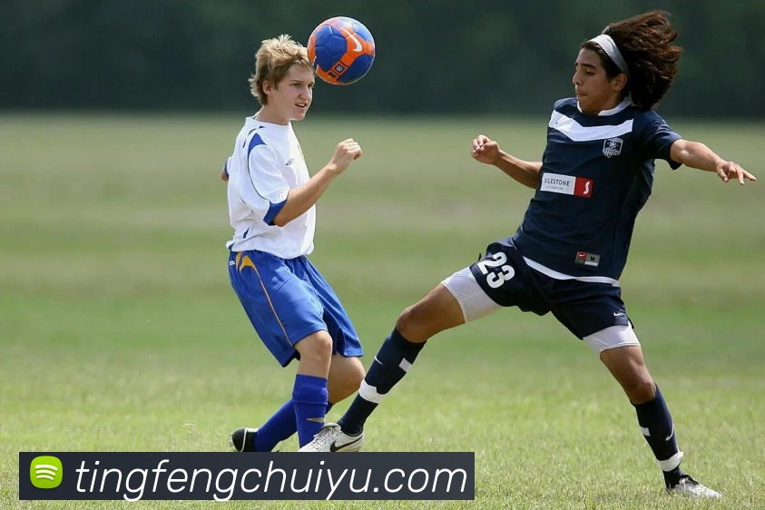 世界杯官网登录app服务体系